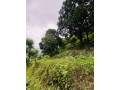 2-bigha-land-for-sale-near-dehradun-airport-small-0