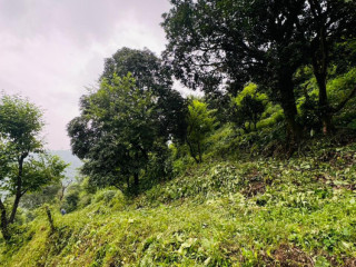 2-bigha-land-for-sale-near-dehradun-airport
