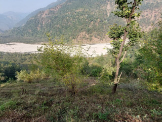 plot-for-cottages-available-for-sale-near-tehri-dam