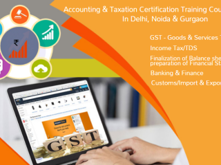 remote-work-global-opportunities-why-accounting-is-a-smart-choice-in-2025-100-job-gst-certification-course-by-sla