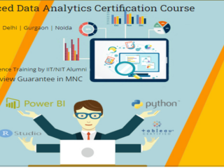 why-data-analyst-professionals-will-be-highly-sought-after-in-2025-100-placement-in-mnc-data-analyst-training-course-by-sla-consultants-india