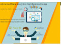 remote-work-global-opportunities-why-data-analyst-is-a-smart-choice-in-2025-100-job-in-mnc-excel-by-sla-consultants-india-small-0