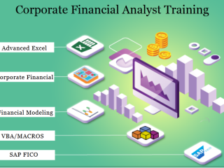 graduation-based-financial-modelling-course-in-delhi-risk-analyst-and-r2r-analyst-training-in-delhi-100-job-by-sla-consultants